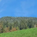 Daire Zellner Alpbach