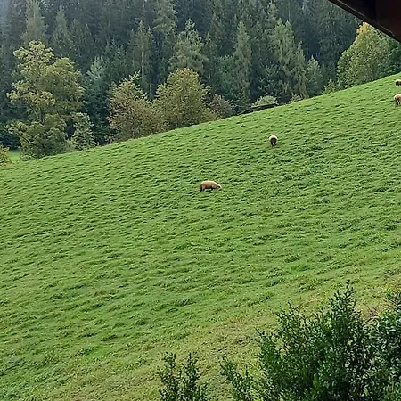 Appartement Zellner Alpbach