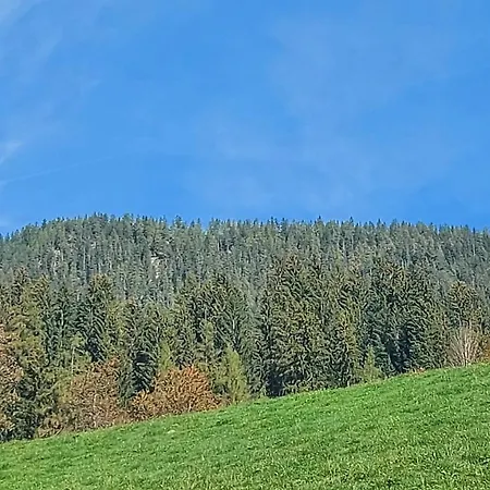 Apartment Zellner Alpbach