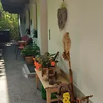 Zellner * Alpbach
