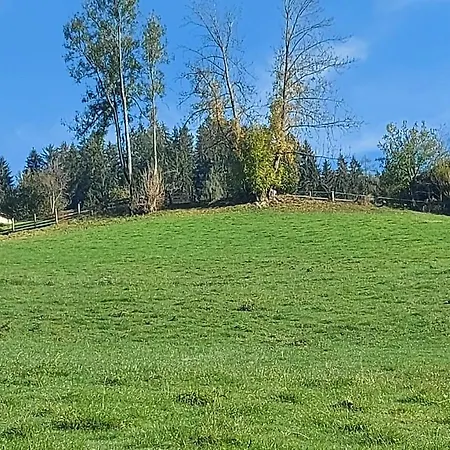 Zellner * ألباخ